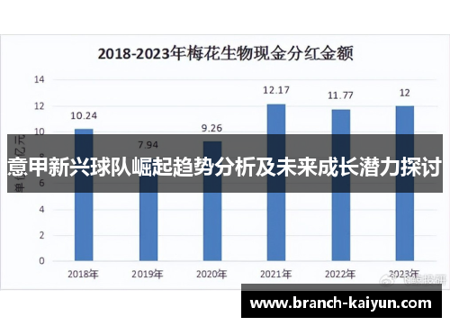 意甲新兴球队崛起趋势分析及未来成长潜力探讨