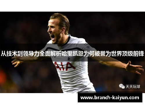 从技术到领导力全面解析哈里凯恩为何被誉为世界顶级前锋