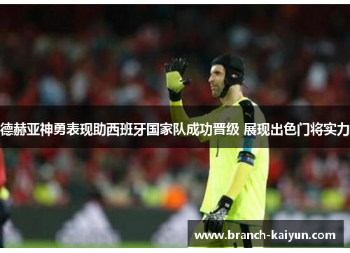 德赫亚神勇表现助西班牙国家队成功晋级 展现出色门将实力
