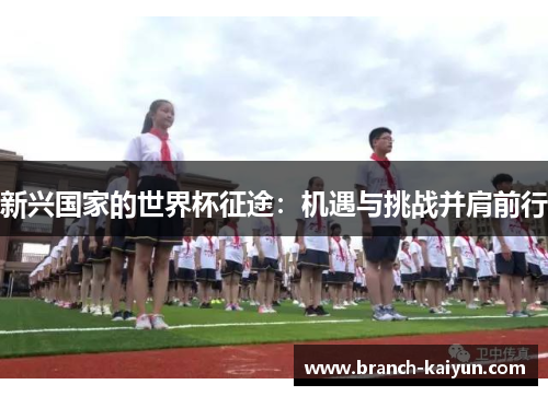 新兴国家的世界杯征途：机遇与挑战并肩前行